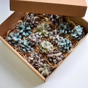 Wax pine cone firestarter 3 PIECES. Wedding decor, christmas gift and housewarming gift. image 7