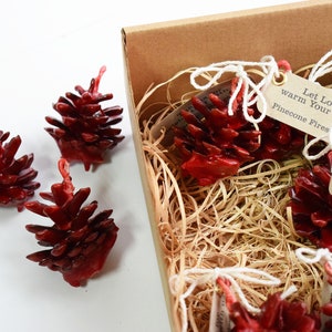 Pine cone fire starter 3 PIECES. Christmas gift and decoration. Rustic wedding favor. Gift for wedding guests. image 1