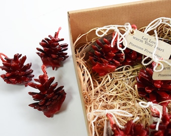 Pine cone fire starter - 3 PIECES. Christmas gift and decoration. Rustic wedding favor. Gift for wedding guests.