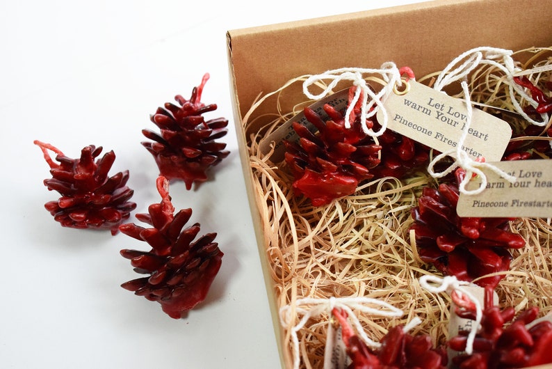 Pine cone fire starter 3 PIECES. Christmas gift and decoration. Rustic wedding favor. Gift for wedding guests. image 1