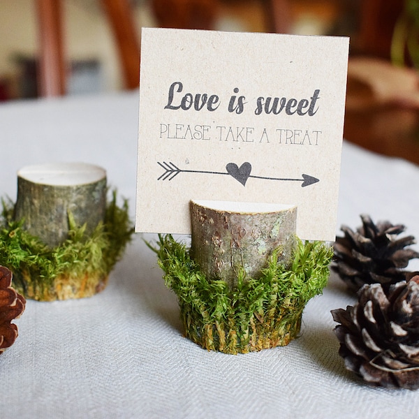 Moss Card Holders - 12 PIECES. Place Card Holder. Rustic Wedding Decor - Name Card Holder