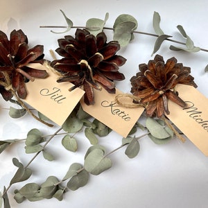 12 PIECES - porte-cartes de nom de mariage - décoration de mariage rustique - porte-cartes de visite - porte-cartes pomme de pin - porte-cartes - respectueux de l'environnement