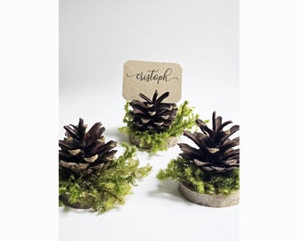 Pine cone card holder for Woodland wedding - 1 SAMPLE, forest wedding, green moss pine cone card holder
