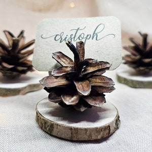 Porta biglietti da visita a forma di pigna per matrimonio - 10 PEZZI. Per matrimoni rustici e boschivi e qualsiasi altro evento.