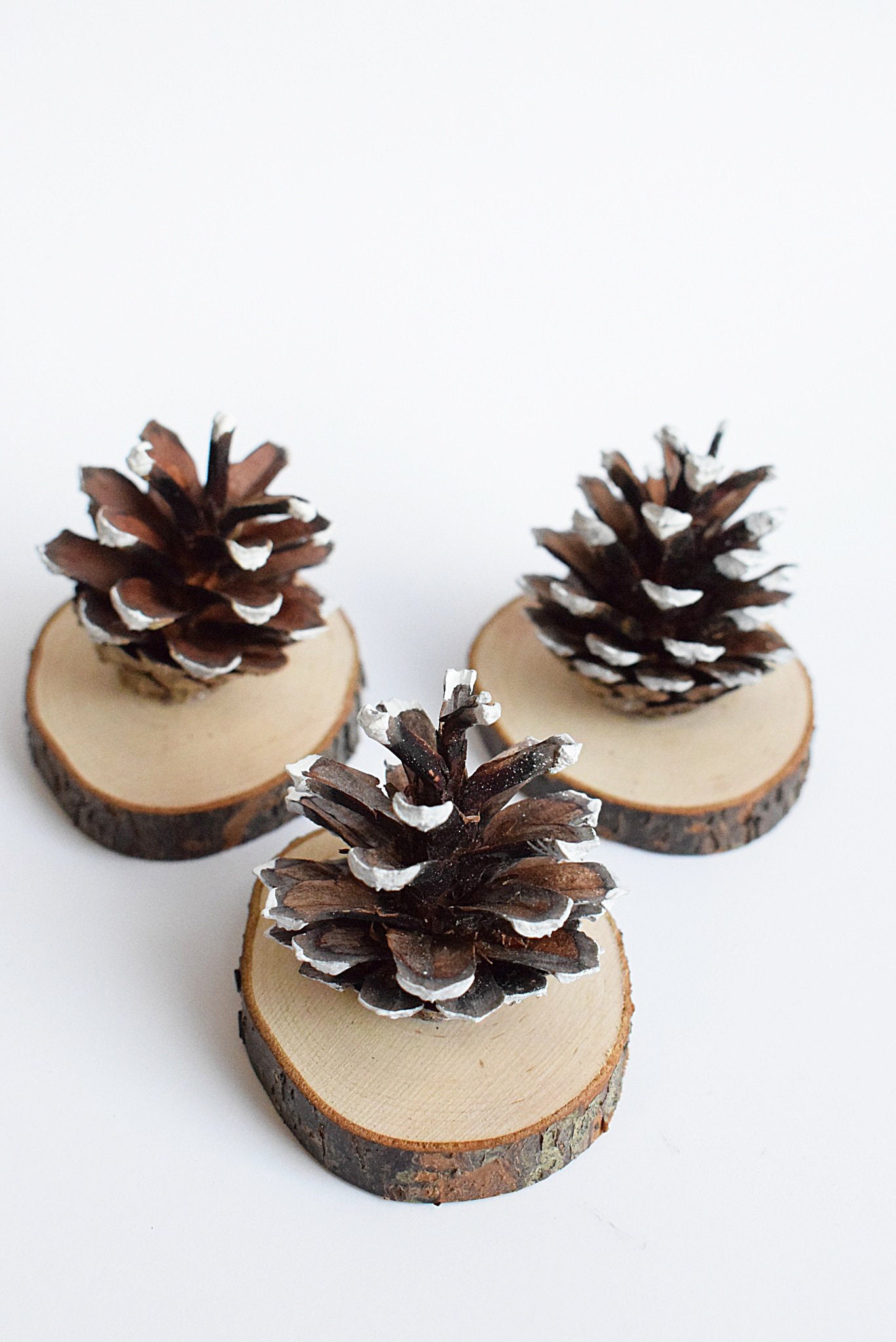 12 PIECES Wedding Name Card Holder Rustic Wedding Decor Etsy