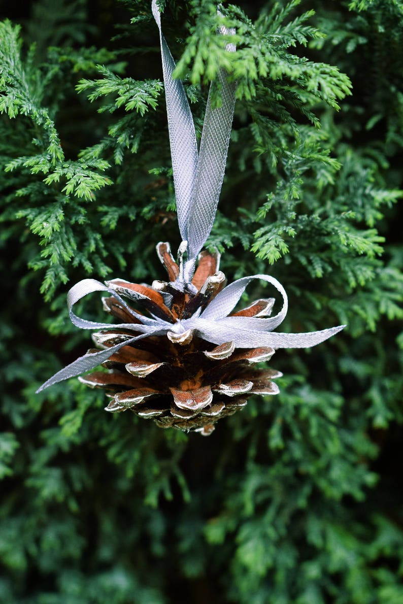 Silver painted pine cones with atlas ribbon 1 PIECE. Christmas tree decoration. Rustic wedding decor. image 2