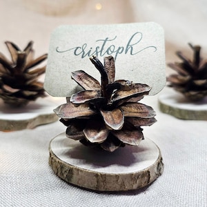 50 STÜCK - Hochzeit Namenskartenhalter - rustikale Hochzeitsdeko - Namenskartenhalter - umweltfreundlicher Tannenzapfen Kartenhalter - Tischkartenhalter