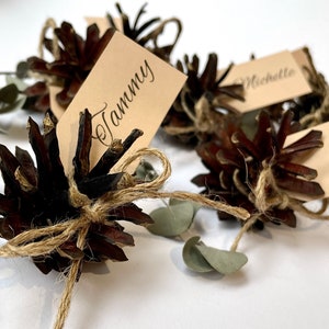30 PEZZI - Porta biglietti da visita per matrimonio - decorazione rustica per matrimonio - porta biglietti da visita - porta biglietti a forma di pigna - porta segnaposto - ecologico