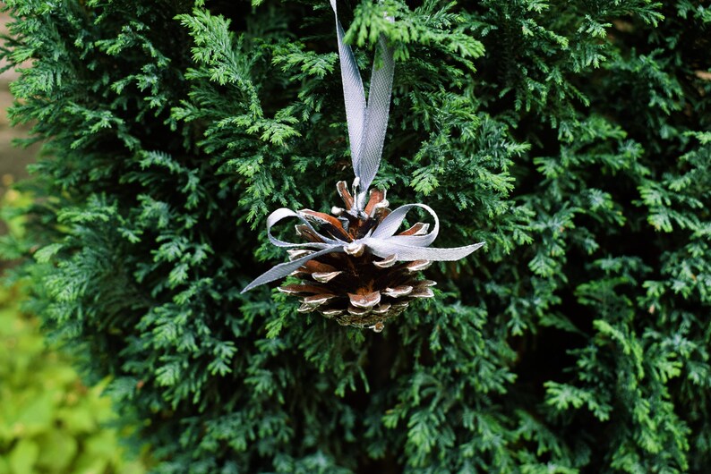 Silver painted pine cones with atlas ribbon 1 PIECE. Christmas tree decoration. Rustic wedding decor. image 10