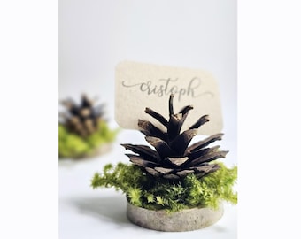Rustic Pine cone name card holders - 12 pieces, wedding place card holders, pine cone with green moss card holder, forest wedding