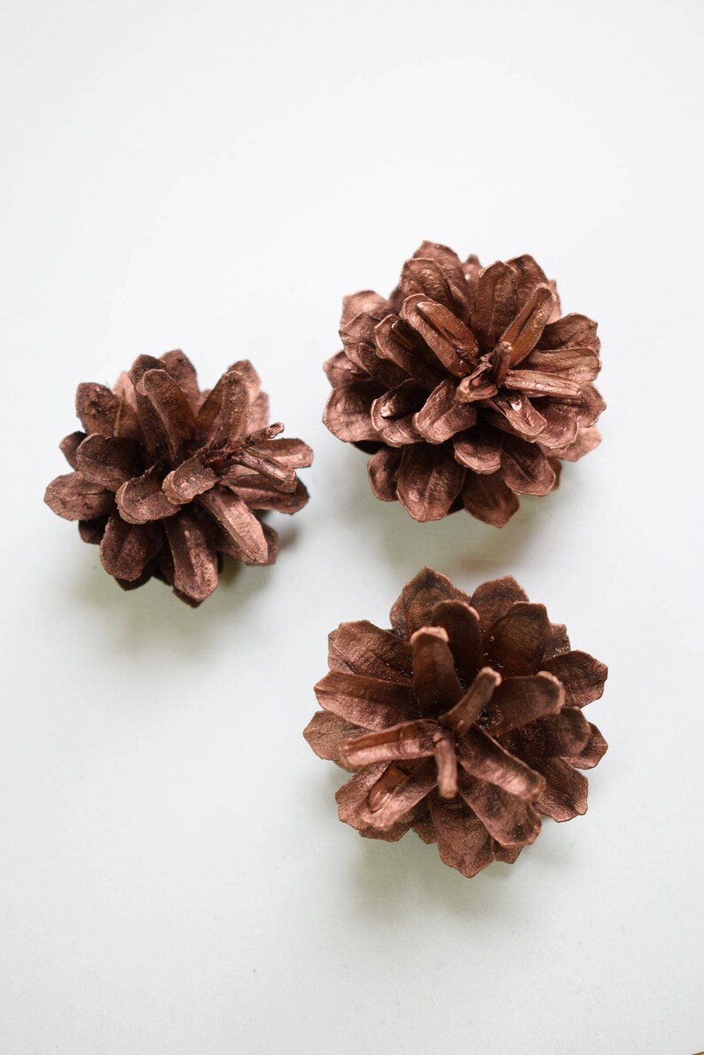 Copper Pine Cones Pine Cone Card Holder Rustic Wedding Etsy