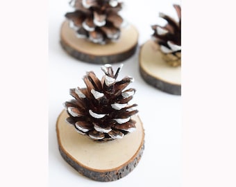 Perfect Small Pine Cones for Party Accents - Austrian Pine Tree Cones for  Weddings