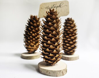 Fir tree cone name card holders for the Rustic wedding - 20 PIECES, forest wedding place card holders, pin cone table number holders