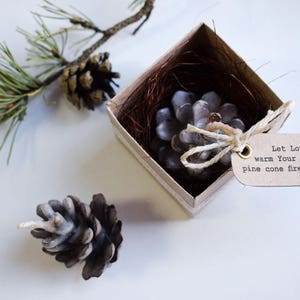 以下が含まれることがあります： 小さな箱には、"Let Love warm Your hearts pine cone fire starters"と書かれた茶色の紙のラベルが付いています。箱の中には、小さな松ぼっくり製の火起こしが入っています。箱は白い表面の上に置かれています。