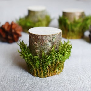 10 PEZZI - Porta segnaposto. Decorazione rustica per matrimoni - Portacarte di nome - Portacarte in legno - Ecologico - Portacarte muschioso