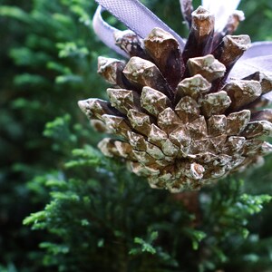 Silver painted pine cones with atlas ribbon 1 PIECE. Christmas tree decoration. Rustic wedding decor. image 8