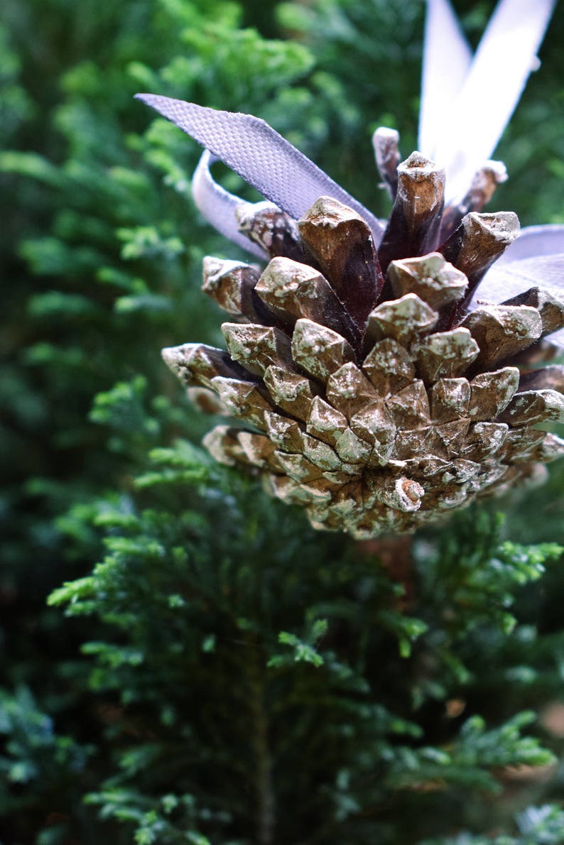 Silver painted pine cones with atlas ribbon 1 PIECE. Christmas tree decoration. Rustic wedding decor. image 8