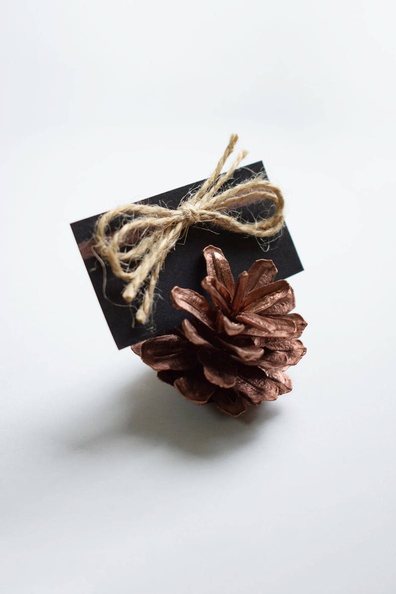 Copper Pine Cones Pine Cone Card Holder Rustic Wedding Etsy