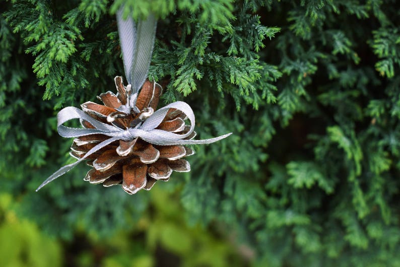 Silver painted pine cones with atlas ribbon 1 PIECE. Christmas tree decoration. Rustic wedding decor. image 9