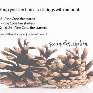 Wax pine cone firestarter 3 PIECES. Wedding decor, christmas gift and housewarming gift. image 5