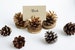 12 PIECES - Gold Pine Cones | Holiday Card Holder | Christmas Decor | Name Card Holder | Rustic Card Holder | Table Card Holder 