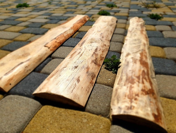Set di 3 assi di legno rustiche, legno di recupero, legno grezzo con  corteccia, tavola di legno, progetto fai da te in legno, materiale in legno,  asse di legno con corteccia 