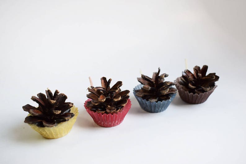 Mini Pine Cone Fire Starters Fireplace Starter Rustic Etsy
