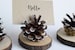 12 PIECES - Wedding Name Card Holder | Rustic Wedding Decor | Name Card Holder | Pine Cone Card Holder | Place Card Holder | PineCones 