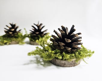 Pine cone name card holders for the Rustic wedding - 30 PIECES, pine cone with moss, forest wedding
