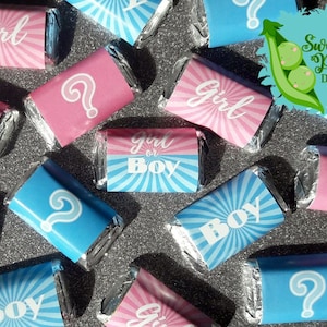 Girl or Boy Gender Reveal Miniature Candy Bar Wrappers