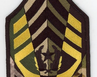 A Career in STRIPES (Army CSM)