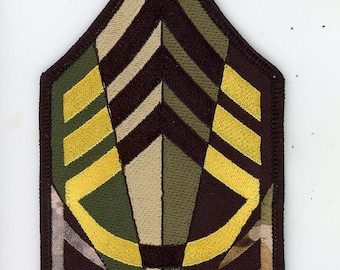A Career in STRIPES (Army MSG)