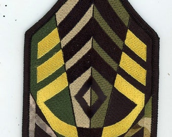 A Career in STRIPES (Army 1SG)