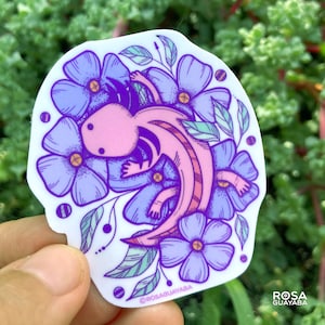 Happy Axolotl Sticker - Vinyl Stickers - Water bottle sticker - Laptop sticker - Axolotl sticker - Pink Axolotl