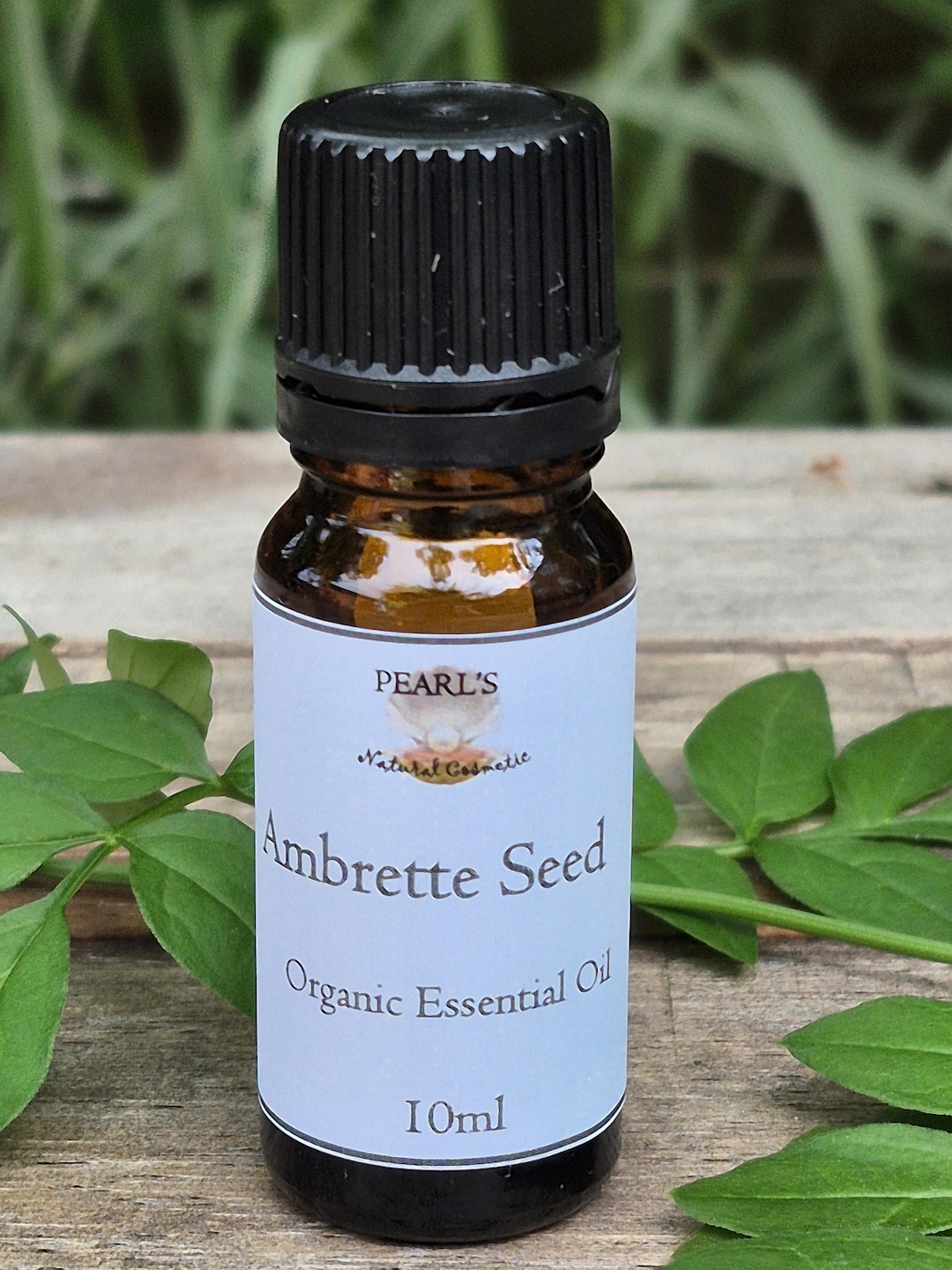 Organic Ambrette Seed Essential Oil: USDA Certified, Musk Mallow (10ml ...