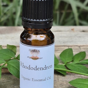 Könnte beinhalten: Kleine bernsteinfarbene Glasflasche mit Pearl's Rhododendron Organic Essential Oil. Das weiße Etikett hat schwarzen Text und ein Logo. Die Flasche hat einen schwarzen Deckel und enthält 10 ml Öl. Grüne Blätter sind im Hintergrund.