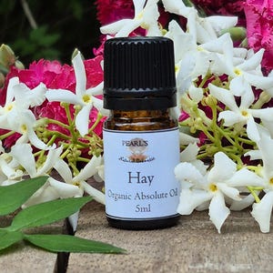 Hay Absolute Oil: Organic Sweetgrass Extract, France (5ml)