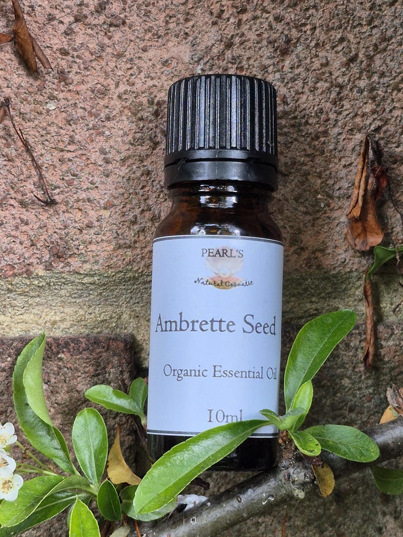 Organic Ambrette Seed Essential Oil: USDA Certified, Musk Mallow (10ml ...