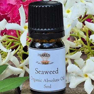 Op de afbeelding: Een kleine, donkere glazen fles van Pearl's Seaweed Organic Absolute Oil, 5 ml, met een zwarte dop. Het etiket is wit met blauwe tekst. De achtergrond toont witte en roze bloemen en groene bladeren.