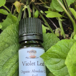 Organic VIOLET LEAF Absolute Oil, 5ml