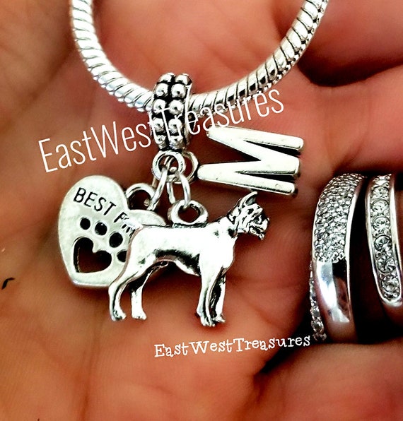 pandora boxer dog charm Hospital Insurance Management Services India