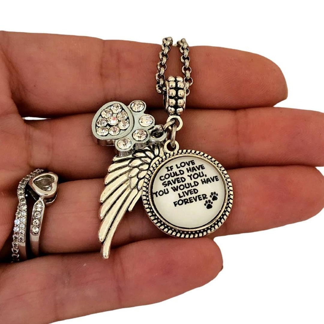 Paw Print Pet Loss Memorial With Angel Wing Charm Bracelet Necklace ...