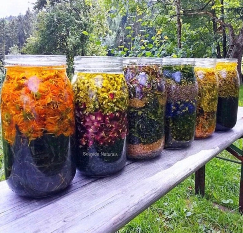 May include: Six glass jars filled with colourful herbal infusions. The jars are arranged in a row on a wooden surface. The jars are labelled "Seaside Naturals".