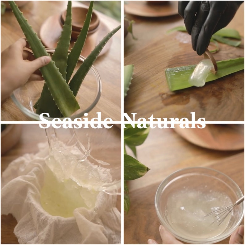 May include: A four-panel image showing the process of extracting aloe vera gel. Green aloe vera leaves are placed in a glass bowl, and the gel is being extracted and strained. The text "Seaside Naturals" is in the center.