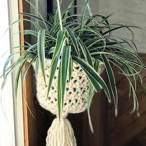 Könnte beinhalten: Ein weißer gehäkelter Hängekorb mit einem langen Quasten, in dem eine grün-weiße Grünlilie wächst.