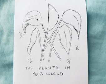 The Plants In Your World (print)