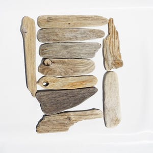 Peut inclure: Une collection de dix morceaux de bois flotté patinés dans des tons de beige, de brun clair et de gris. Ces pièces présentent des textures naturelles, des veines de bois, des nœuds et des bords lisses et arrondis par l'eau et le sable.