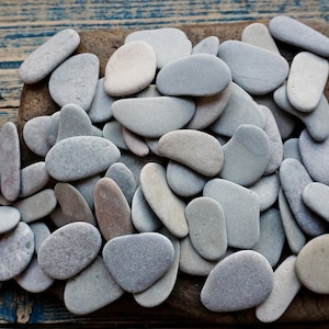Può includere: Una collezione di ciottoli di fiume lisci e grigi di varie forme e dimensioni. Le pietre sono disposte su un pezzo di legno stagionato, creando un'estetica naturale. Lo sfondo è una superficie di legno blu.