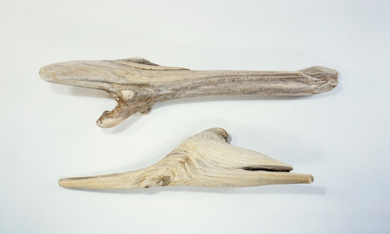2 Unique Driftwood Sculptures 11.8-14.6/'/'30-37cm Small Driftwood Pieces,Natural Beach Decor,Amazing Driftwood #D21