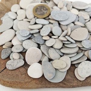 May include: A pile of smooth, gray and white pebbles of various sizes on a wooden surface. A Euro coin is included for scale.